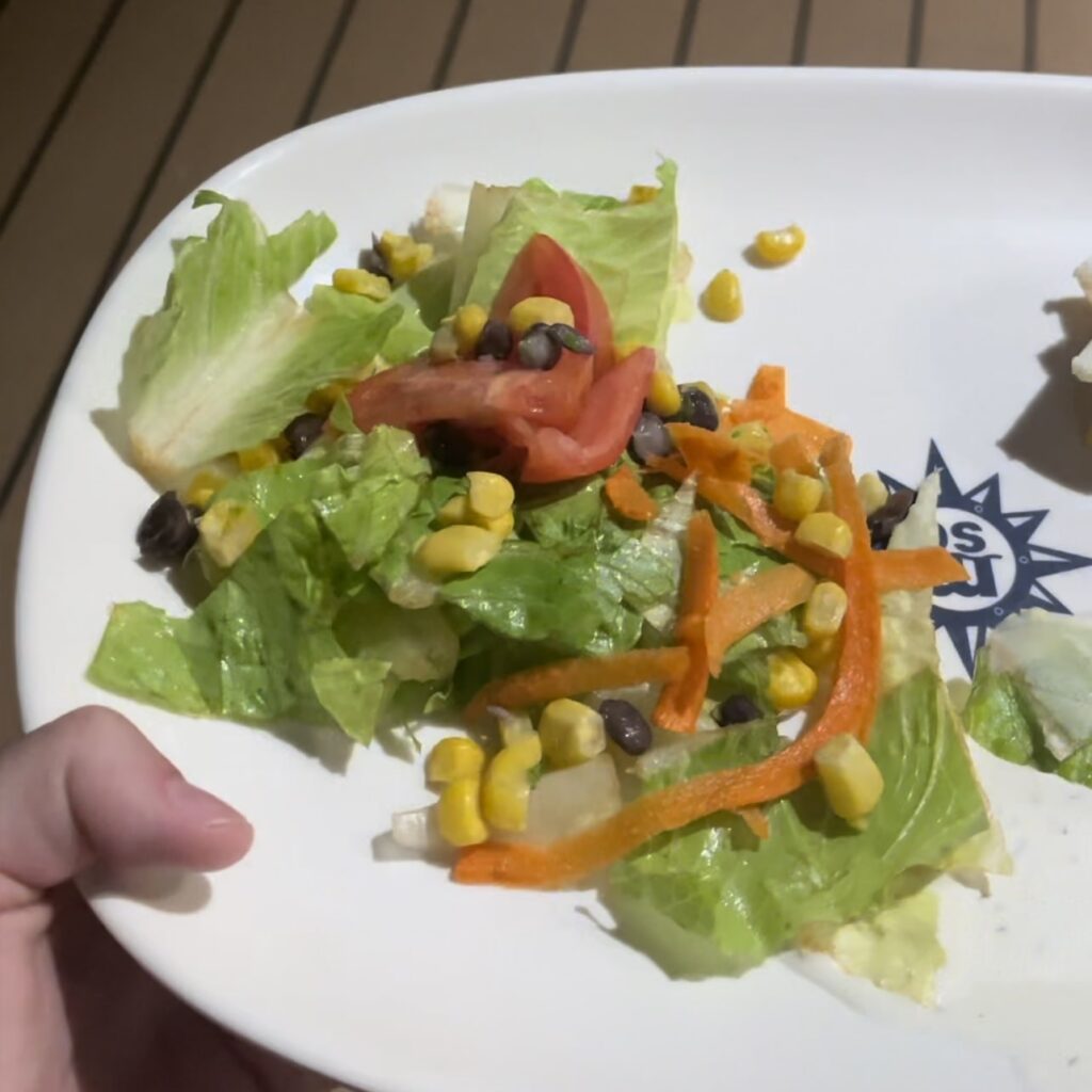 disney cruise food