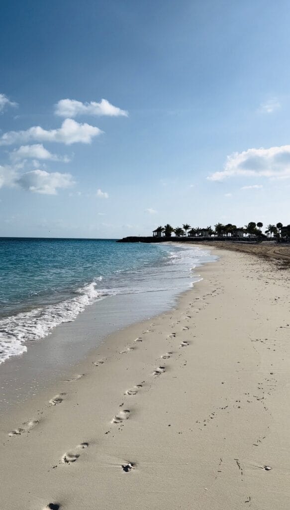 msc ocean cay yacht club