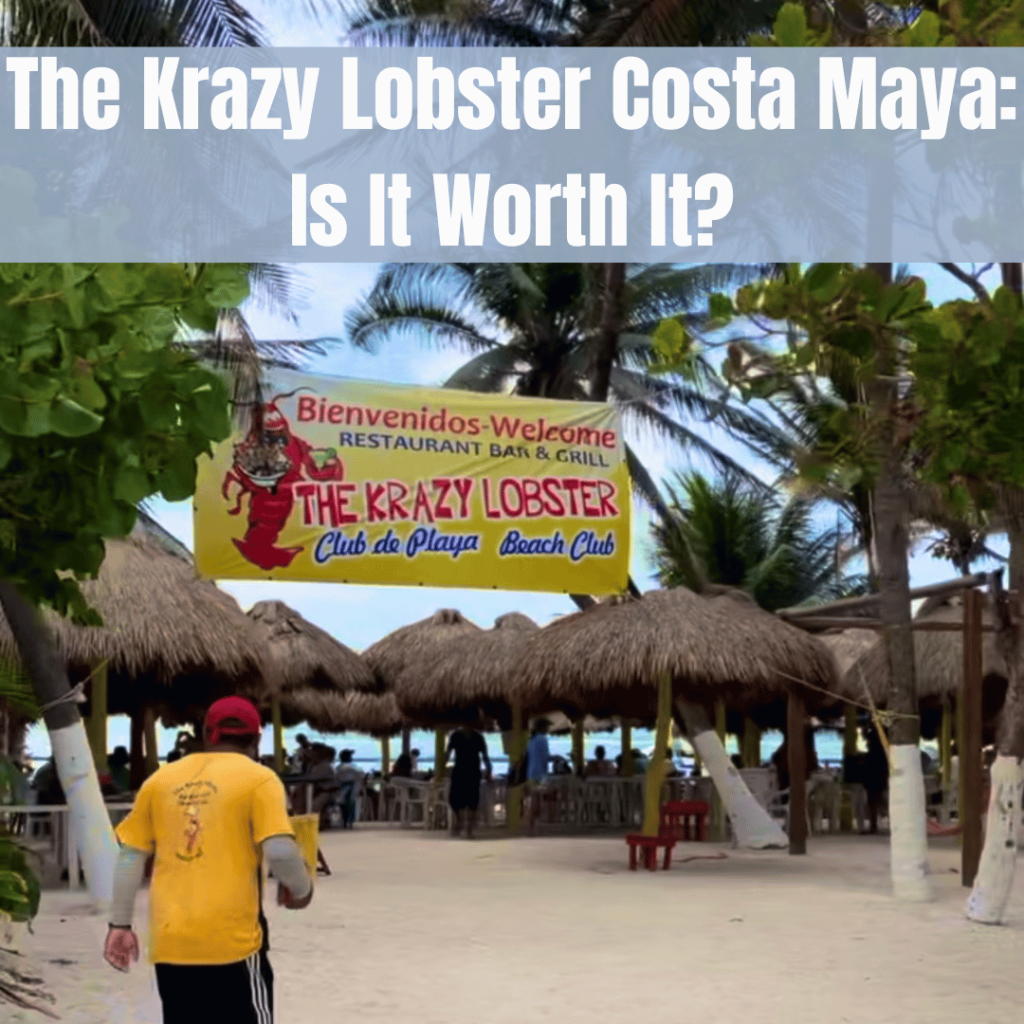 the krazy lobster